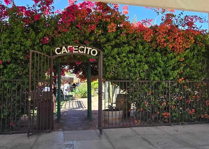 Casa Sunrise, Large Home, Minutes From Airport, Yrmc, Mexico Borders *